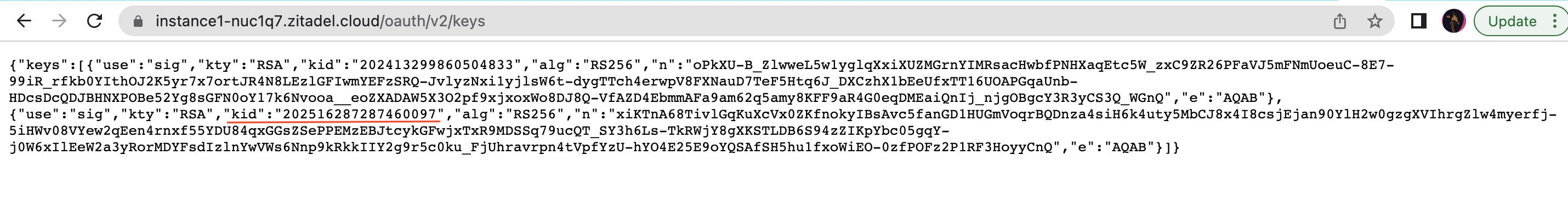 Create a Web Application in ZITADEL.